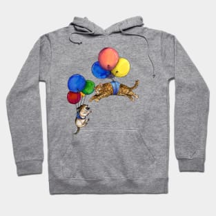 Balloon Ride Hoodie